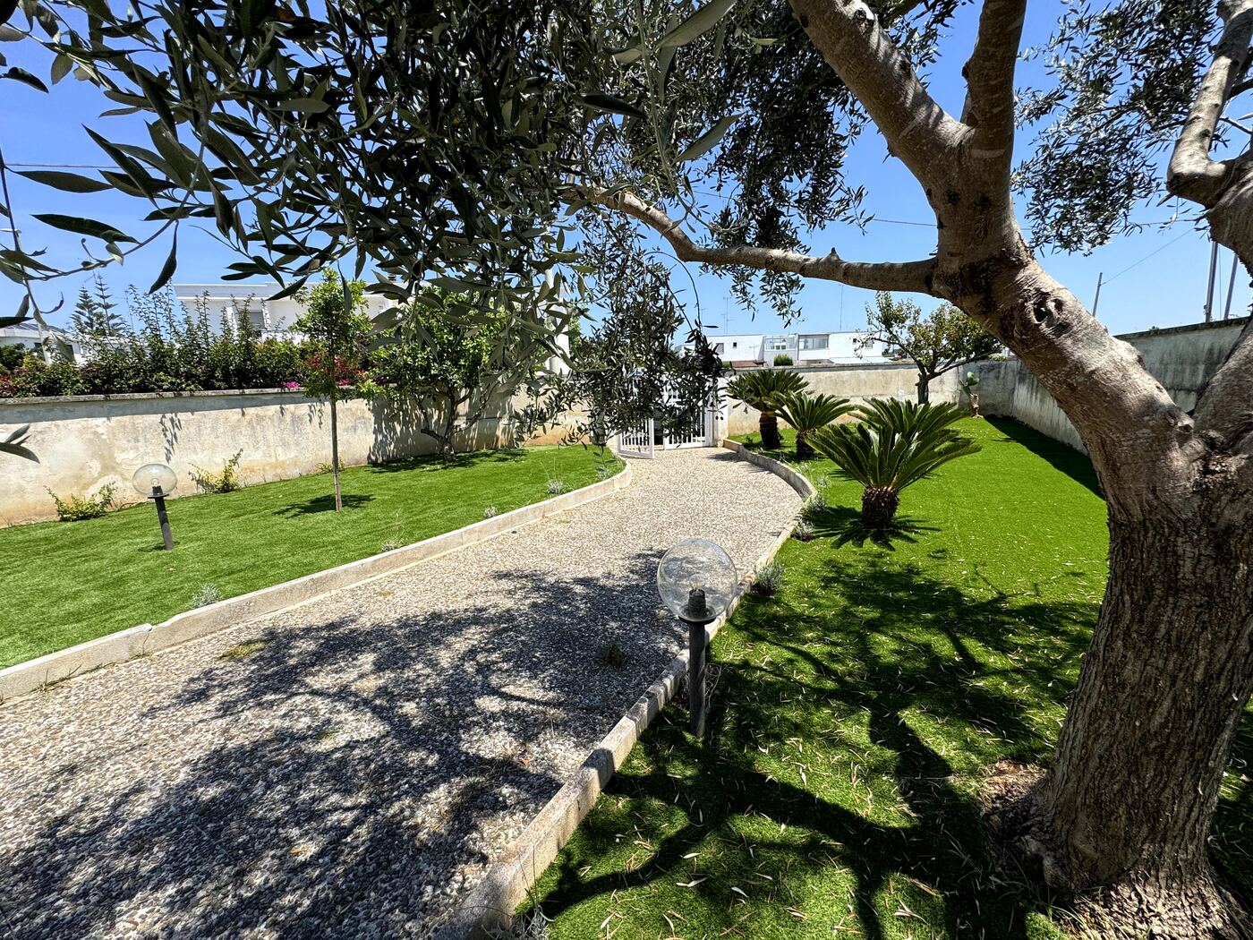 Garden with olive and fruit trees at the holiday home